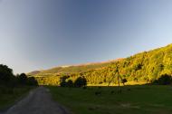 Буковець з panoramio.com