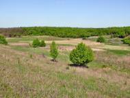 Всесвятське з panoramio.com