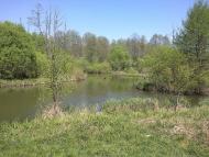 Собичеве з panoramio.com