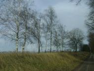 Садове з panoramio.com