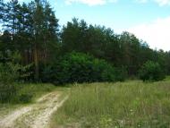 Богданівка з panoramio.com