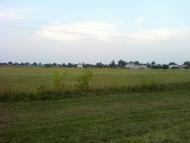 Рівнинне з panoramio.com