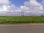 Молодіжне з panoramio.com