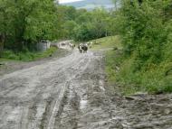 Дністрик-Дубовий з panoramio.com