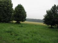 Ракова з panoramio.com