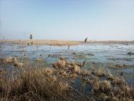Нова Некрасівка з panoramio.com