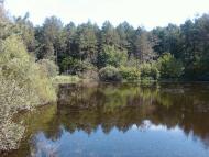 Мізяківська Слобідка з panoramio.com