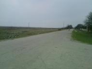 Ботанічне з panoramio.com