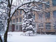 Чернігівка з panoramio.com