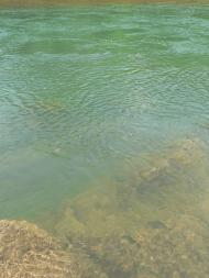 Нижній Бистрий з panoramio.com