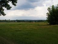 Квітки з panoramio.com