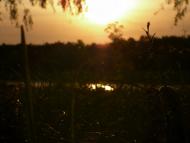 Козацьке з panoramio.com