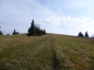 Ялинкувате з panoramio.com