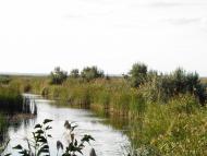 Нова Некрасівка з panoramio.com