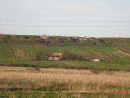 Журів з panoramio.com - Журов
