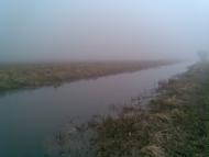 Шарки - Останні фото