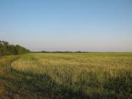 Хоминка з panoramio.com