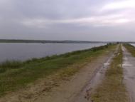 Березина з panoramio.com