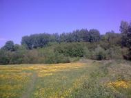 Варівці з panoramio.com