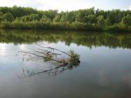 Озаричі з panoramio.com