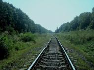 Тарасівка з panoramio.com