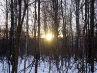 Радецька Болярка з panoramio.com