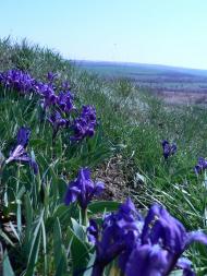 Лутугине з panoramio.com