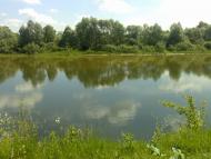 Лисогубівка з panoramio.com