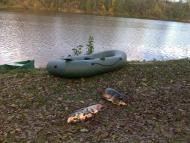 Будище з panoramio.com