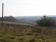 Журавлинка з panoramio.com