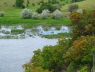 Новорозанівка з panoramio.com