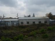 Вільхівчик з panoramio.com