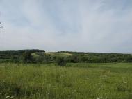 Малий Вистороп з panoramio.com