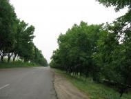 Вила з panoramio.com - Вила