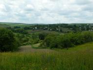 Сніжки з panoramio.com