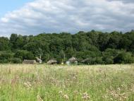 Мільки з panoramio.com