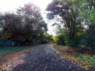 Данилове з panoramio.com