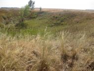 Хрещате з panoramio.com