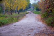 Кицівка з panoramio.com