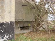 Тростянка - Последние фото