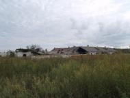 Федорівка з panoramio.com