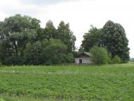 Сираї з panoramio.com