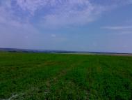 Вила з panoramio.com - Вила