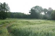 Рудневе з panoramio.com