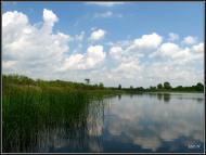 Перковичі з panoramio.com