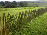 Конів з panoramio.com