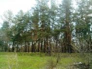 Лисичанський з panoramio.com