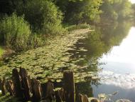 Гранітне з panoramio.com