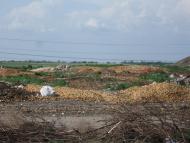 Завітне з panoramio.com