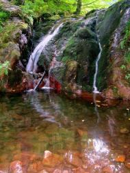 Зарічне з panoramio.com